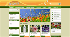 Desktop Screenshot of magasini.net